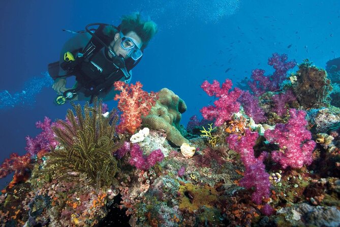 Full Day Sataya Reef Adventure in Marsa Alam - Frequently Asked Questions