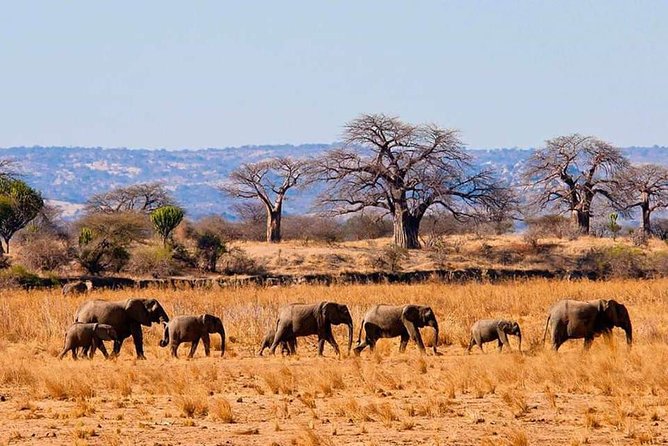 Full Day To Arusha National Park - Customer Reviews