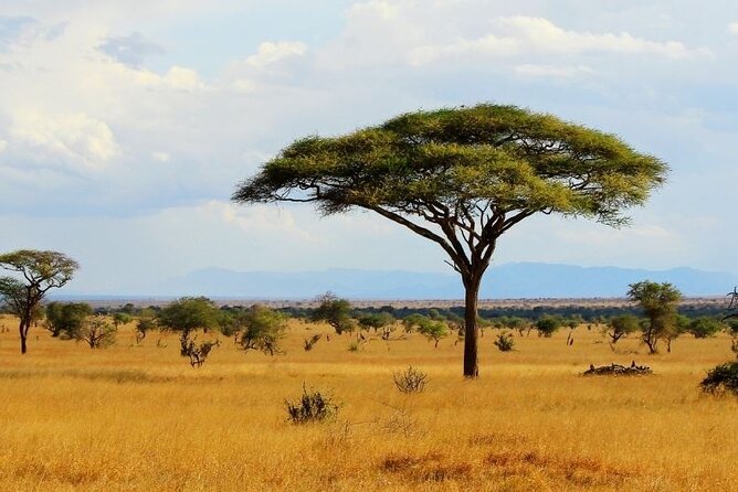 Full-Day to the Tsavo East National Park From Mombasa - Exclusions