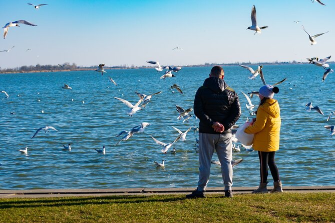 Full Day Tour Belgrade: Subotica and Zemun Wonderful City Tour - Tour Itinerary Highlights