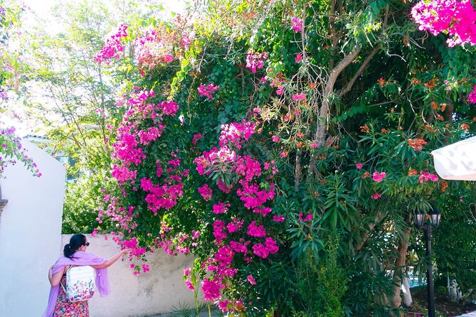 Full Day Tour in Assos and Fiscardo Island of Kefalonia - Fiscardo Island Discovery
