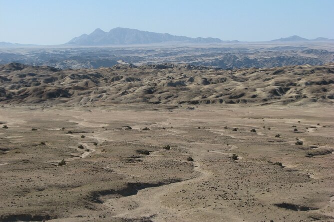 Full-Day Tour in Namib Desert From Swakopmund, Namibia - Important Information