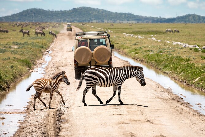 Full Day Tour in Ngorongoro Conservation Area Tanzania - Additional Info