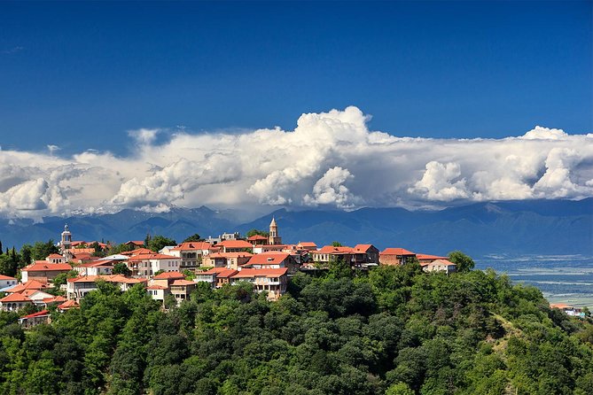 Full Day Tour in Sighnaghi Bodbe Tsinandali From Tbilisi - Customer Reviews