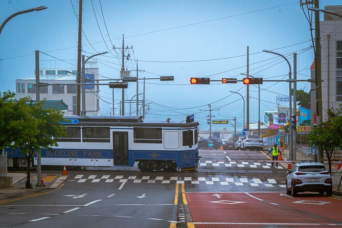 Full-Day Tour Unmissable Things to Do in Busan - Additional Information
