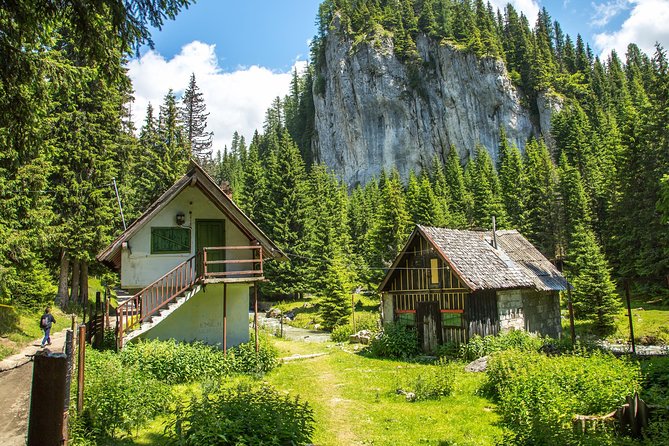 Fun Into the Wild - One Day Tour From Bucharest - The Sum Up