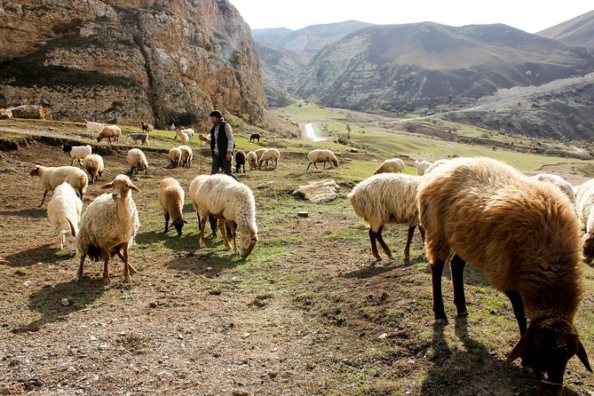 Galakhudat - Khinalig Hiking Tour With Home-Made Lunch - Group Size and Cancellation Policy