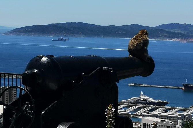 Gibraltar Sightseeing Private Full Day Shore Excursion - Frequently Asked Questions