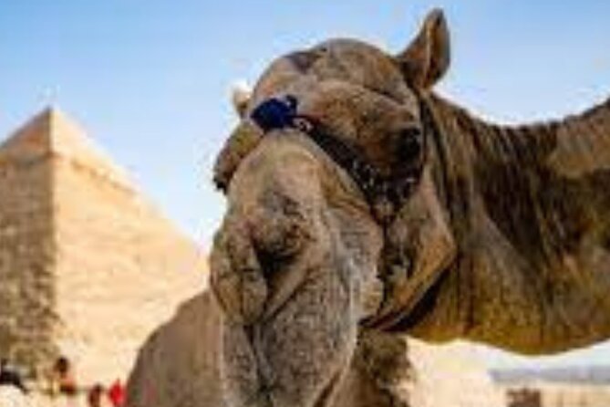 Giza Pyramids Tour With Sqqara and Memphis - Customer Support and Assistance