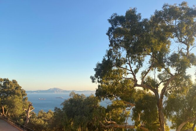 Go Tours Private Rock Experience Tour in Gibraltar - Reviews