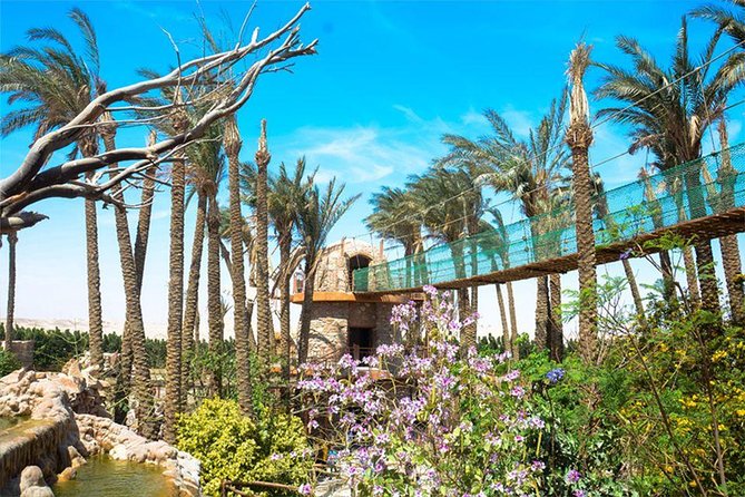 Grand Aquarium Museum Hurghada With Transfer - Hughada - Reviews: Total Count, Overall Rating