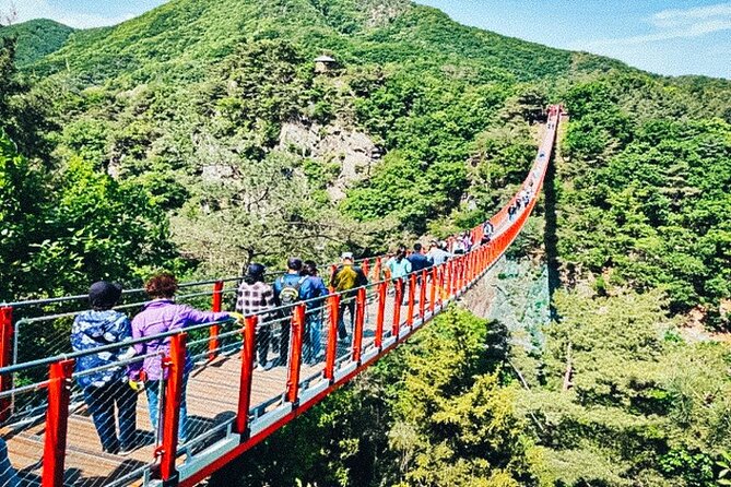 Great Experience! North Korean Defector &Suspension Bridge Option - Benefits of Suspension Bridge Option