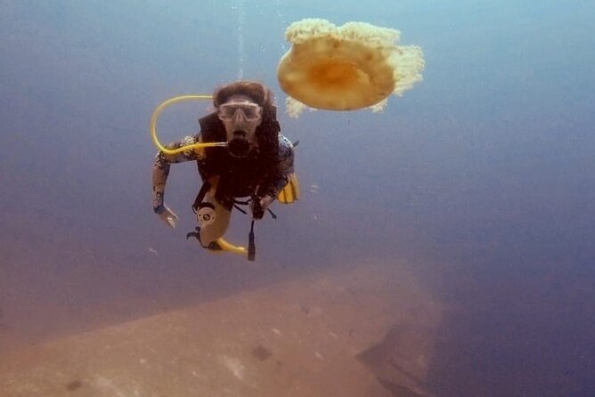 Guided Scuba Diving Adventure in Aqaba - Meeting and Pickup Information