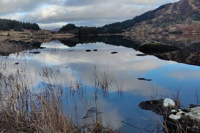Guided Tour in Ring of Kerry - Traveler Requirements