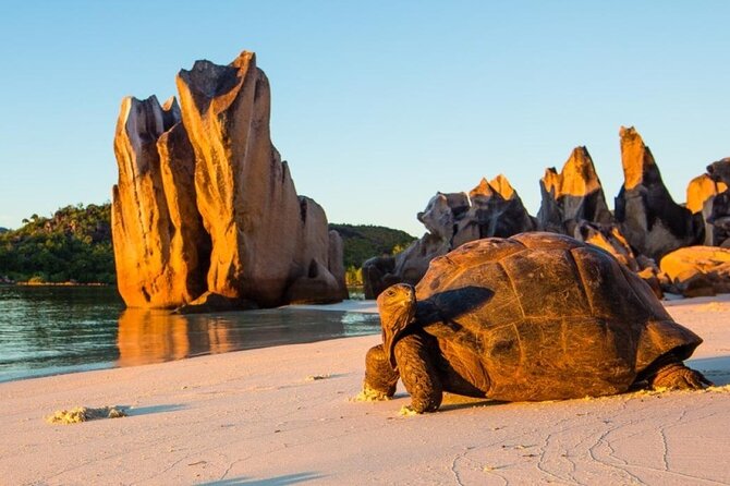 Half Day Curieuse and St Pierre Island Seychelles - Frequently Asked Questions