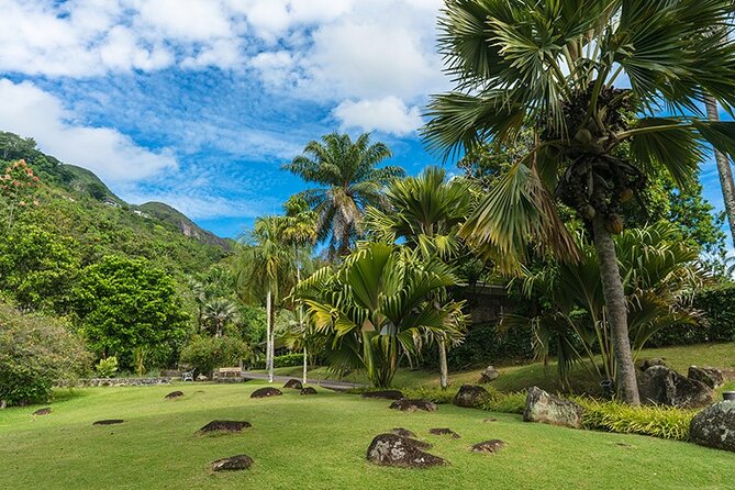 Half Day Discovery Tour of Victoria - Seychelles Capital on Mahe Island - Cancellation Policy