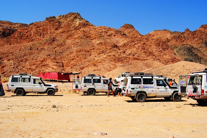 Half-Day Hurghada Stargazing Tour With Pick-Up - The Sum Up