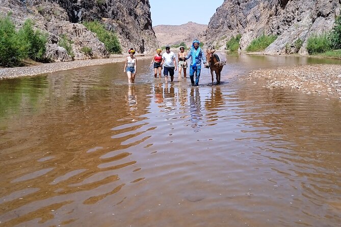 Half Day Private Walking Tour in Sidiflah Gorges - What To Expect