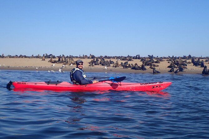 Half-Day Seal Kayak Adventure at Pelican Point in Walvis Bay - Operator Information