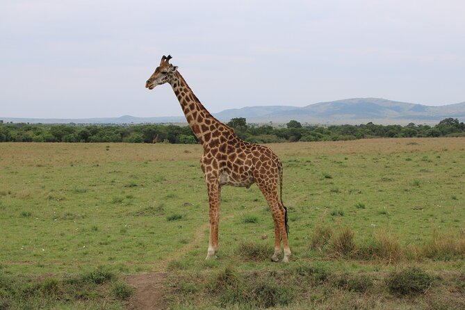 Hells Gate National Park Private Bike Tour From Nairobi - Directions and Tour Operator