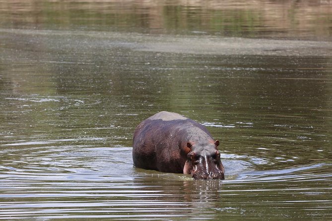 Hells Gate Park & Lake Naivasha Boat Ride Day Tour - Scenic Photography Opportunities