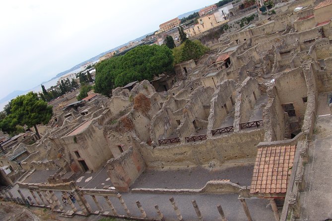 Herculaneum Ancient City (Tour + Transfer) - Booking Information