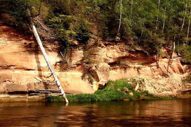 Hiking Adventure in Sigulda and Latvian Food Tasting - Indulge in Local Food and Drink Delights