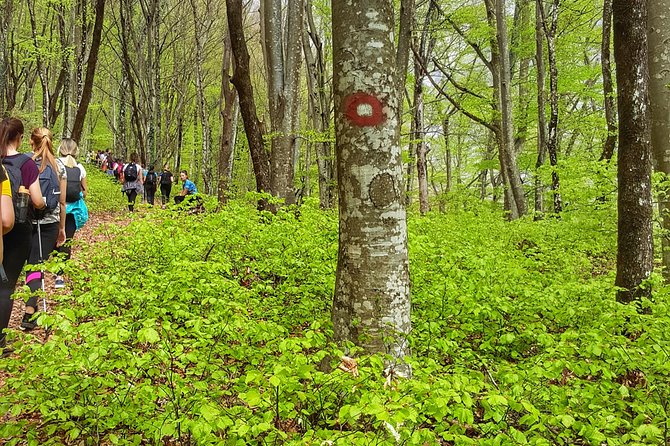 Hiking in Mostar ,Mountain Prenj - Directions