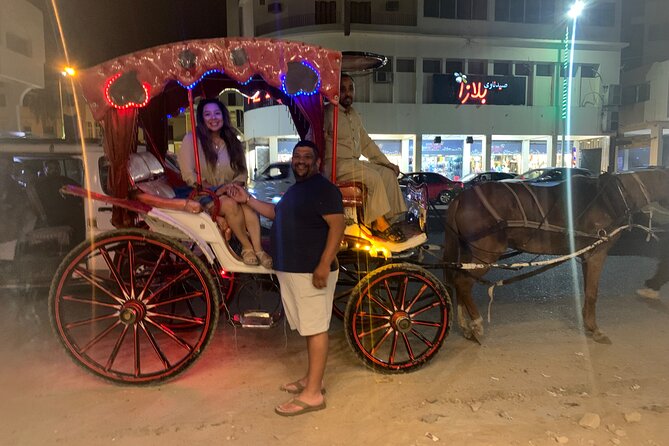 Horse Carriage Ride in Aswan - The Sum Up