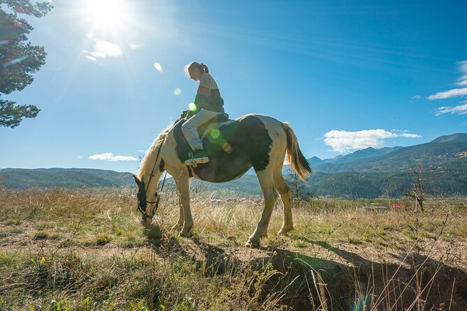 Horse Riding Experience From Bansko - Booking Options