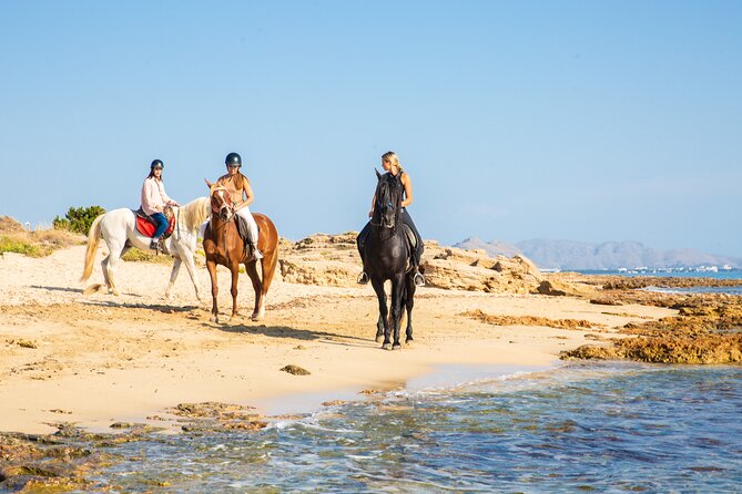 Horse Riding in Mallorca on the Beach - Additional Booking Info