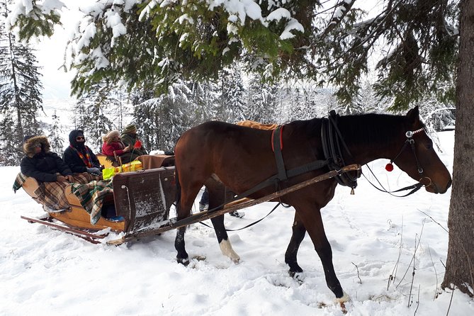 Horse Sleigh Ride in the Countyside and Thermal Pools in One Day, Private Tour - Pricing Details