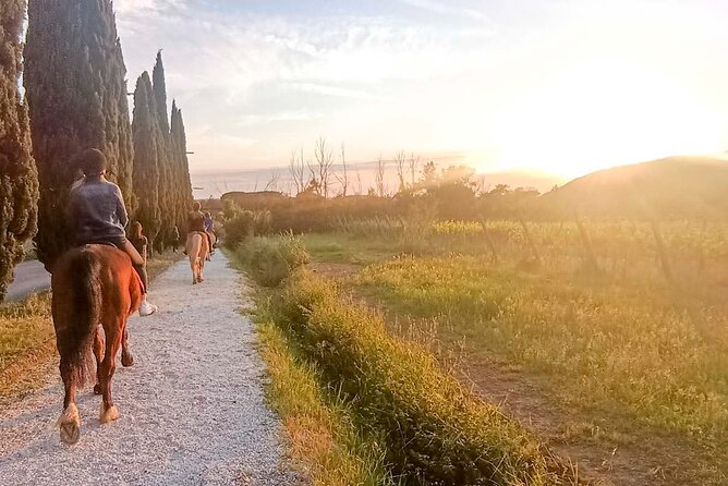 Horseback Riding at Sunset 1 Hour at the Certosa Di Pisa - Directions