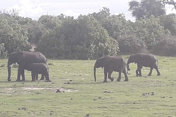 Hwange National Park 3 Days Package - The Sum Up