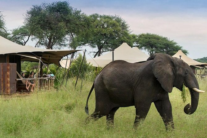 Hwange National Park Camping Safari From Victoria Falls (2 Nights) - Packing List Essentials