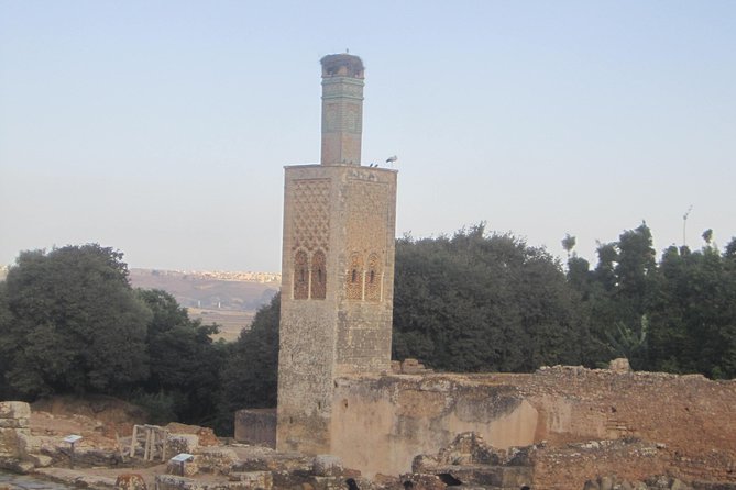 Imperial City Tour From Casablanca - Customer Reviews