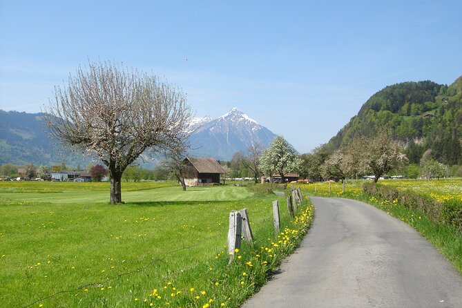 Interlaken City Warp Speed Intro by Brisk Walking With Guide - Directions and Availability