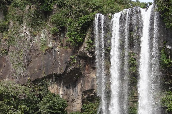 Jeju Island West UNESCO Day Tour With Lunch Included - Tour Reviews