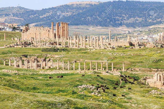 Jerash & Ajloun Private Tour - Frequently Asked Questions