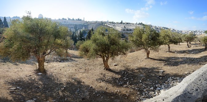 Jerusalem Old City From Tel Aviv - Tour Inclusions