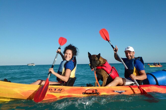 Kayaking With Dogs - The Sum Up