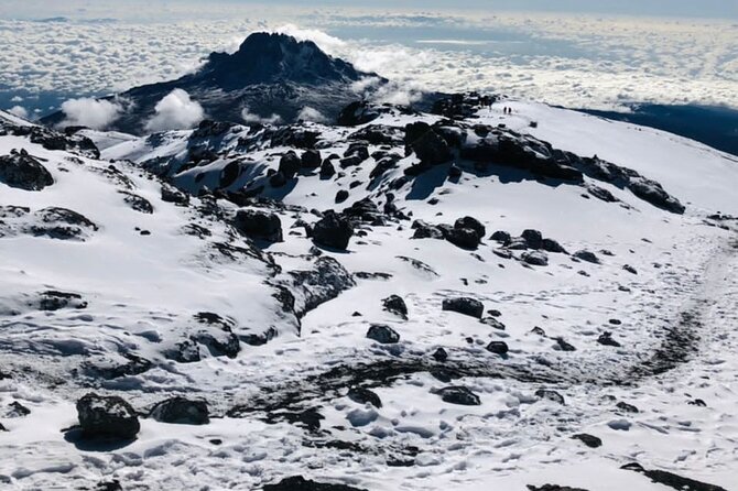 Kilimanjaro 8 Days Lemosho Route - What To Expect