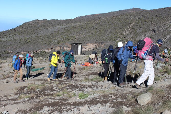 Kilimanjaro Machame Route 6 Days - Pickup and Arrival Logistics