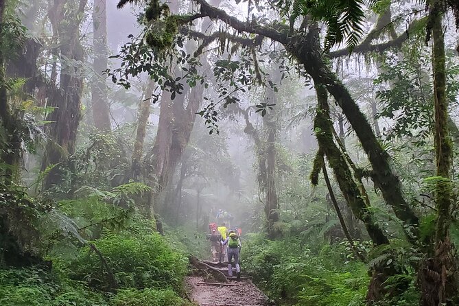 Kilimanjaro Northern Circuit Route 8 Days - Directions for the Kilimanjaro Trek