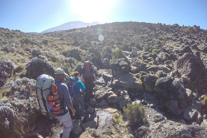 Kilimanjaro Shira Plateau Day Hike - Safety Precautions