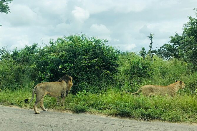 Kruger National Park Full-Day Tour - Cancellation Policy