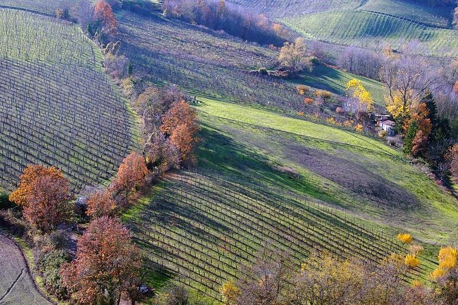 Lambrusco Making: Winery Tour - The Sum Up