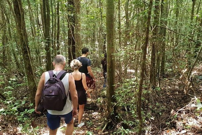 Land Tour 2: Discover the North - Kayaking & Starfish Beach Phu Quoc (Not Lunch) - What To Expect