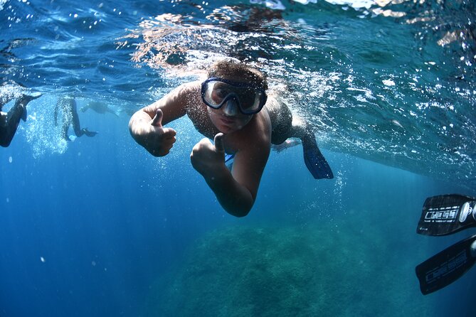 LEstartit: Snorkeling in the Medes Islands - Confirmation and Accessibility