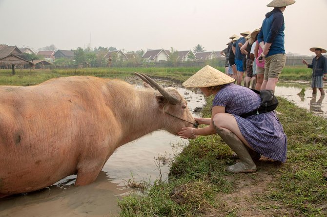 Living Land Rice Farming Experience - Reviews and Ratings